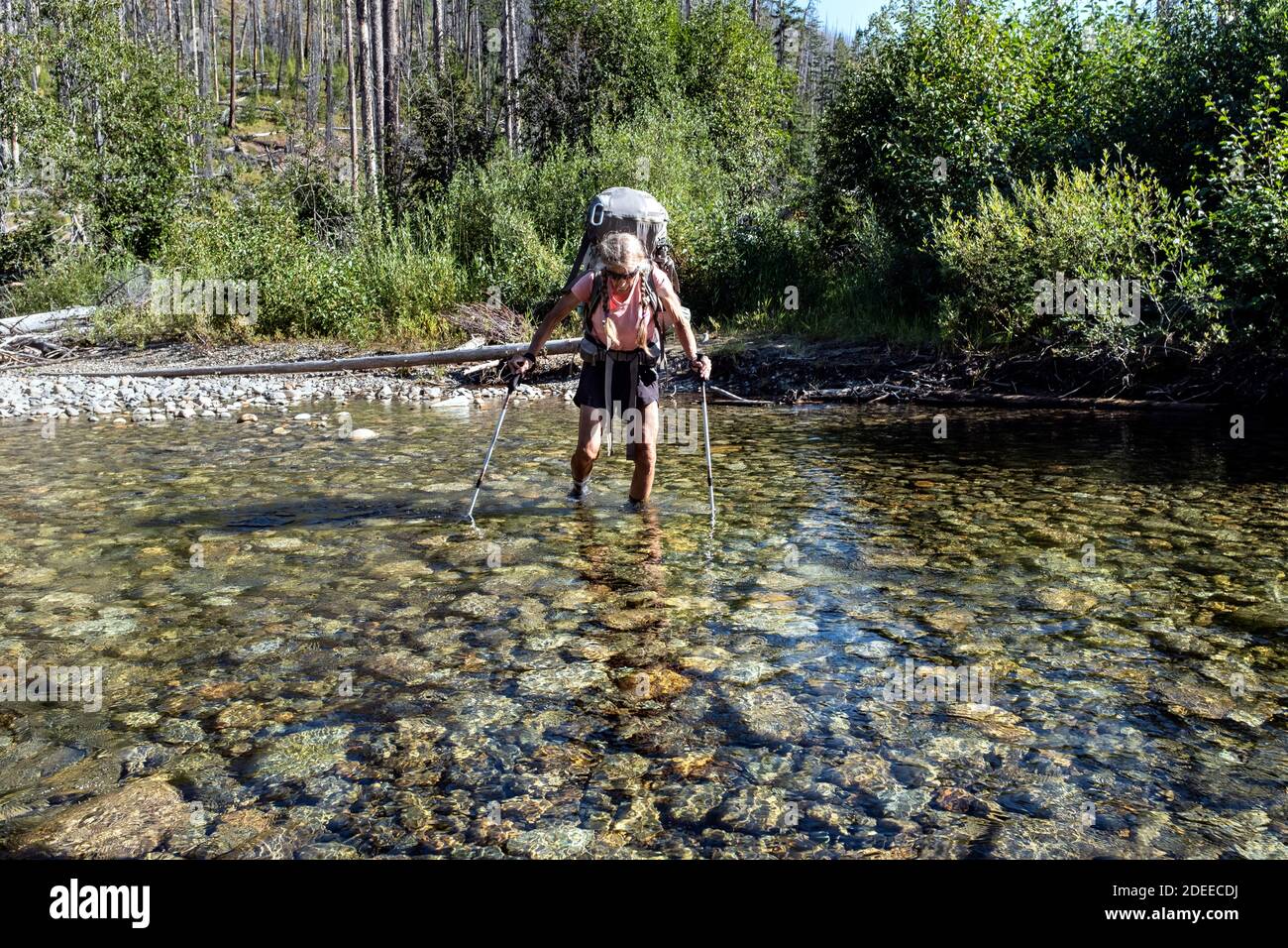 WA17724-00..... WASHINGTON - Frau beim Rucksackwandern beim Überqueren des Pasayten River entlang des BoundaryTrail #533, Pasayten Wilderness, Okanogan Wenatchee Stockfoto