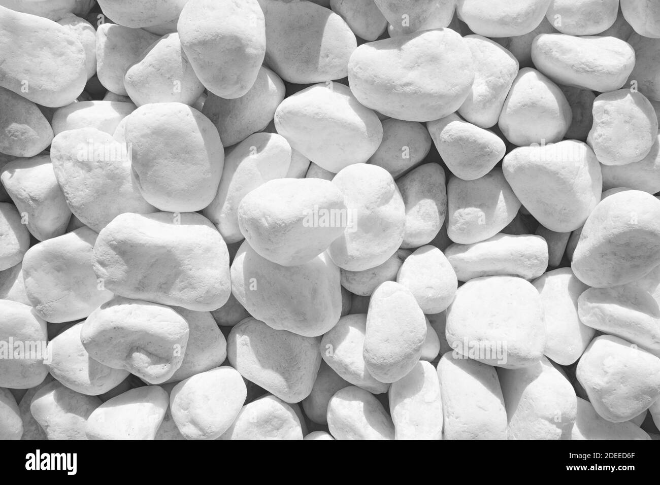 Weiße Kieselsteine Textur Hintergrund Stockfoto