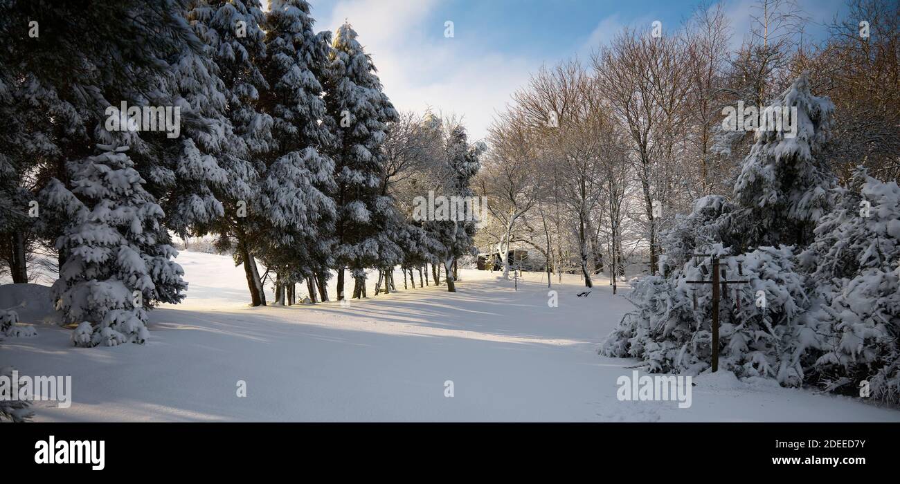Februar und ein starker Schneefall bedeckt den Garten rund um die Yorkshire Dales Kleinbetrieb Stockfoto