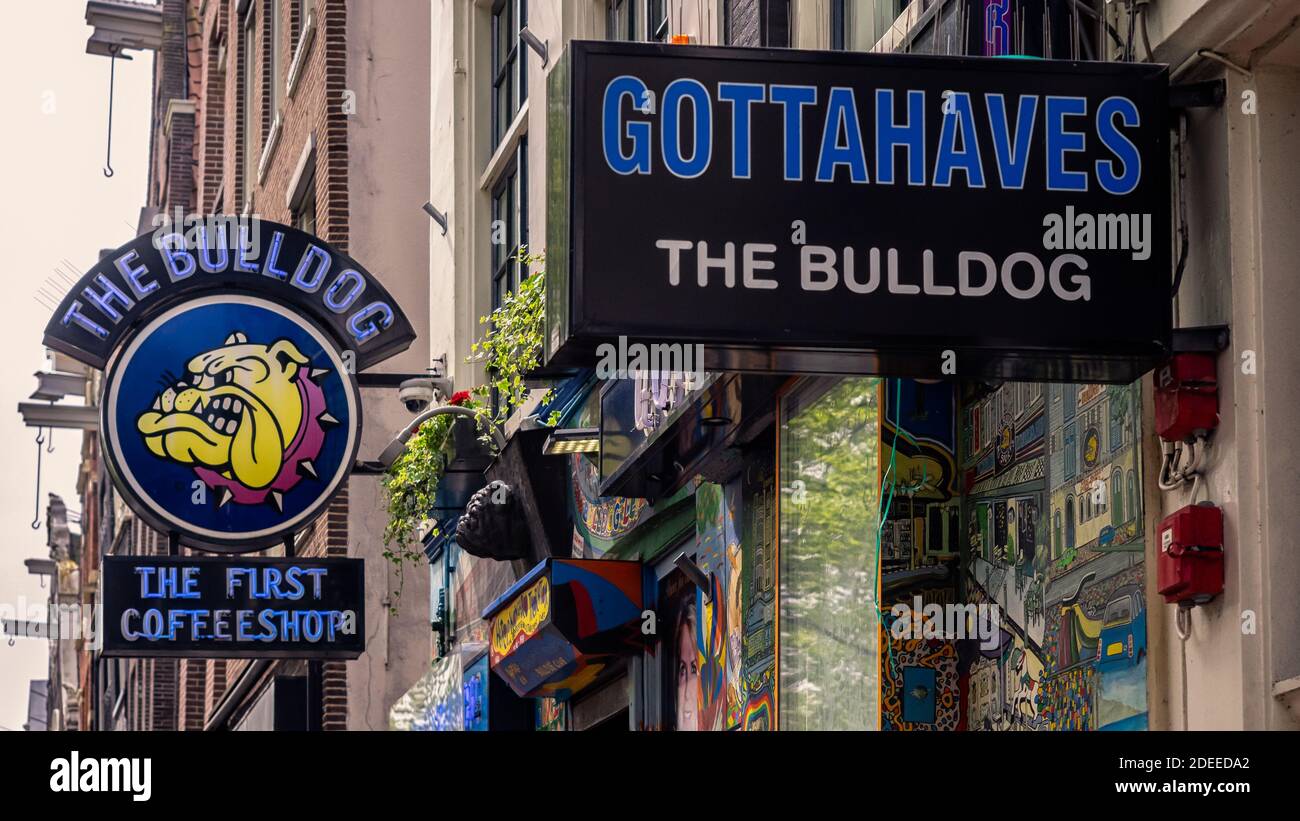 AMSTERDAM, NIEDERLANDE - 01. MAI 2018: Schilder für das Bulldog, das erste Café auf Oudezijds Voorburgwal Stockfoto