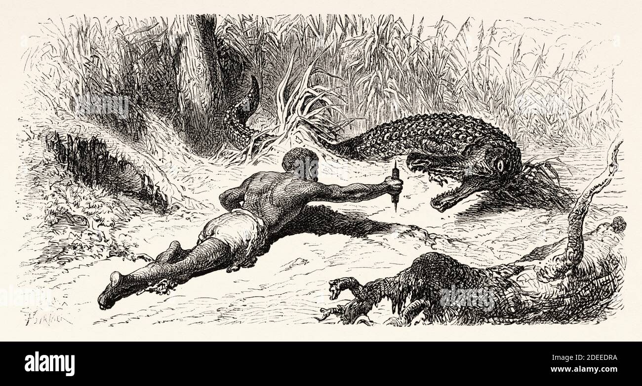 Alligatorenjagd, Kolumbien. Alte eingravierte Illustration des 19. Jahrhunderts. Reise nach New Granada mit Charles Saffray von El Mundo en La Mano 1879 Stockfoto