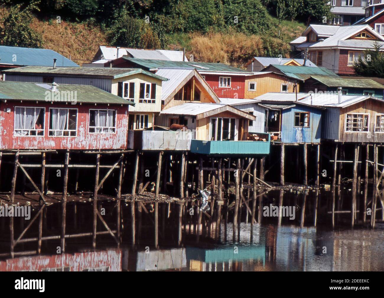 Chiloé Island, Chile. Ancud (gescannt von Fujichrome Provia) Stockfoto