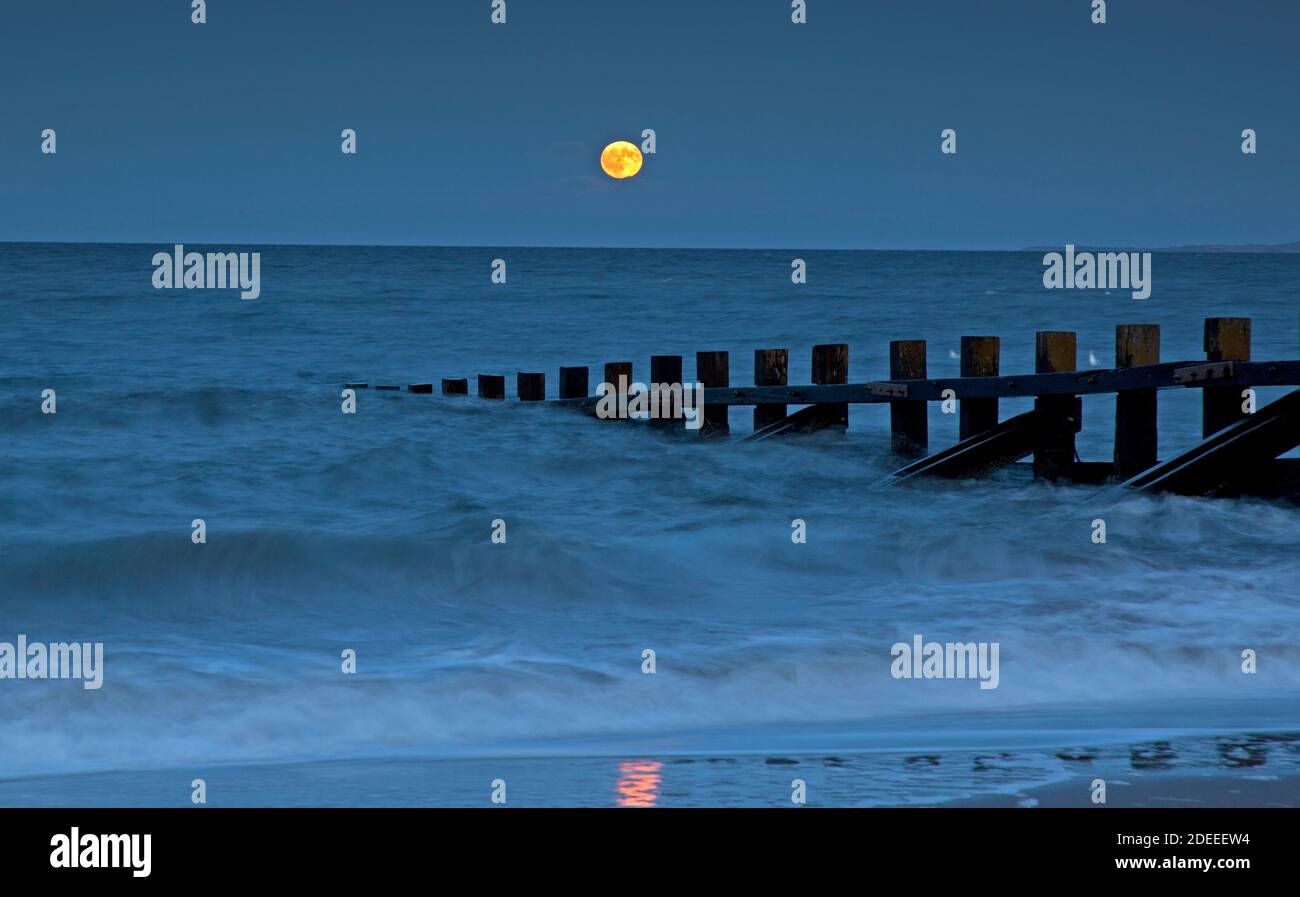 Portobello, Edinburgh, Schottland, Großbritannien. 30. November 2020. Bei twilght, der volle Wachsen gibbous Beaver Moon steigt über East Lothian und der Firth of Forth. Quelle: Arch White/Alamy Live News. Stockfoto