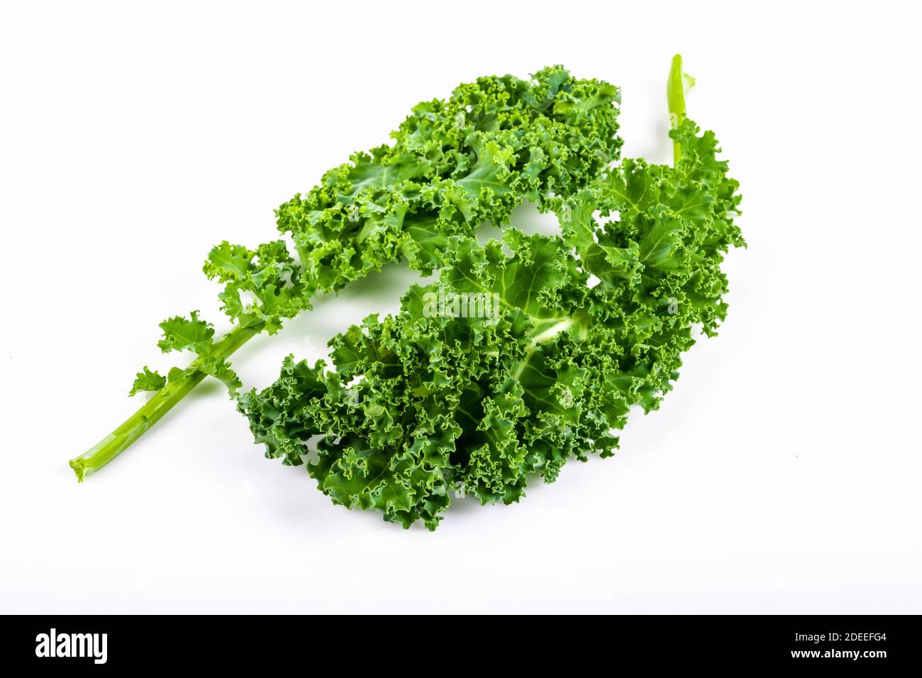 Kale Blatt Salat Gemüse isoliert auf weißem Hintergrund. Kreatives Layout aus Grünkohl-Nahaufnahme. Stockfoto