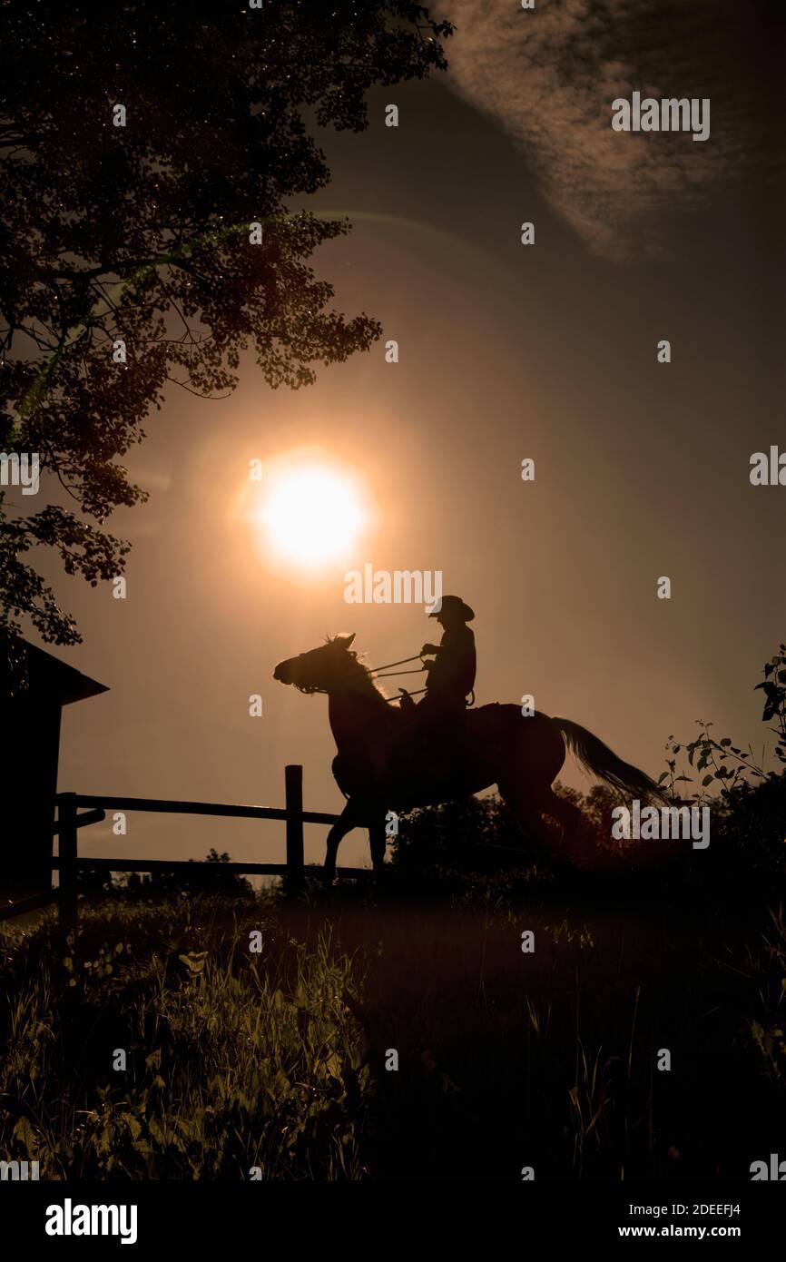 Cowboy auf Pferd Stockfoto