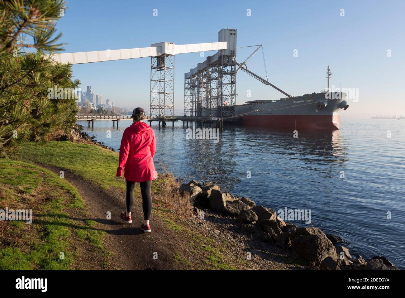 Ein Besucher spaziert am Sonntag, den 29. November 2020, flott entlang der Uferpromenade im Elliott Bay Park in Seattle. Stockfoto