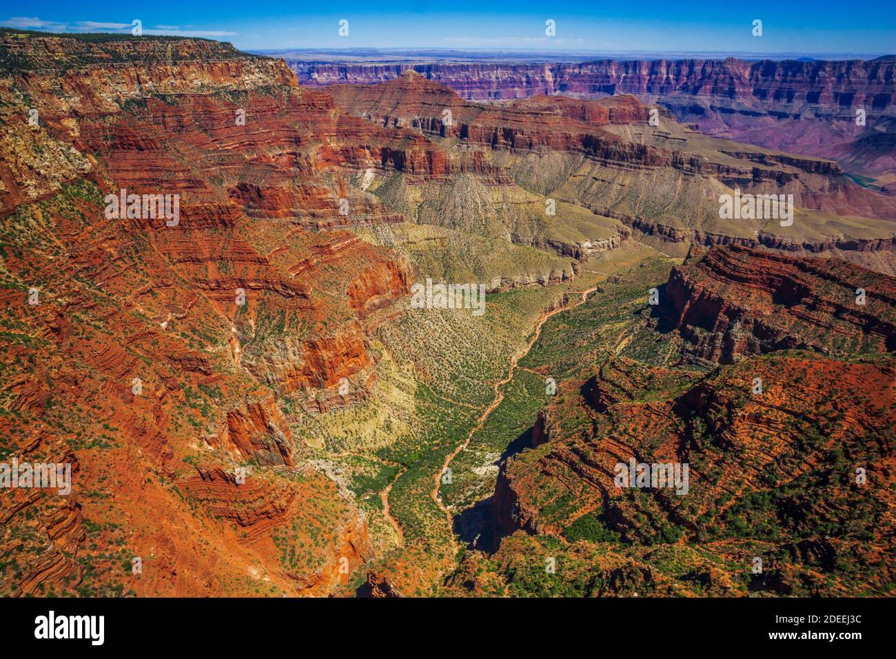 Blick auf den North Rim Grand Canyon Stockfoto