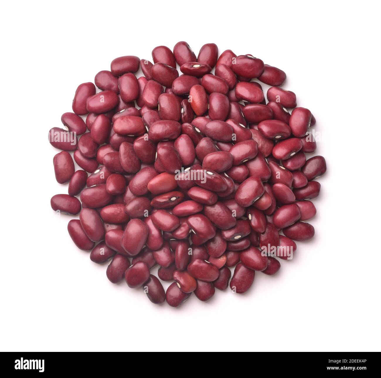 Draufsicht auf getrocknete rote Kidney Beans isoliert auf weiß Stockfoto