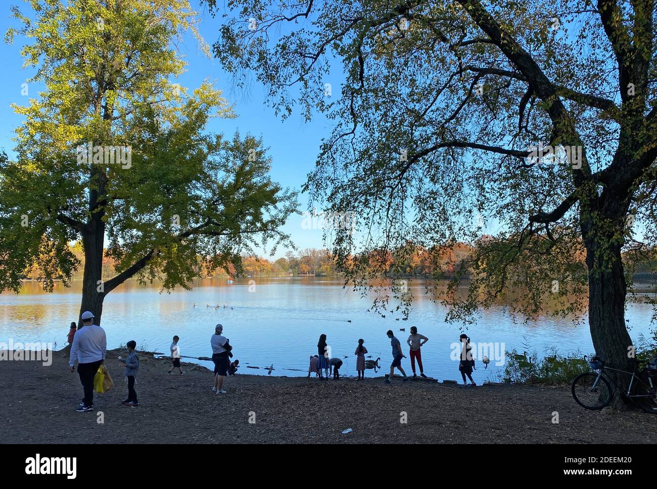 Die Menschen genießen einen warmen Herbsttag im Prospect Park, während die Covid-19 Pandemie weiter wütet. Auch im Park tragen die meisten Menschen Gesichtsmasken und soziale Distanz. Stockfoto