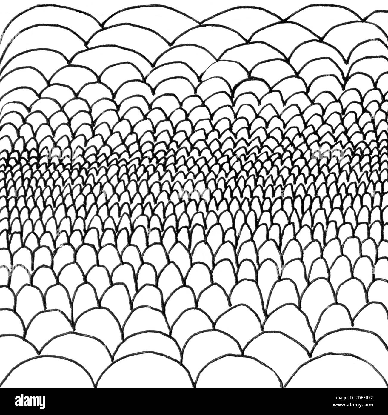 Fish Scales Tintenstruktur. Abstrakte schwarz-weiße handgezeichnete Illustration, Vintage-Hintergrund. Textur mit Meerjungfrau-Muster Stockfoto