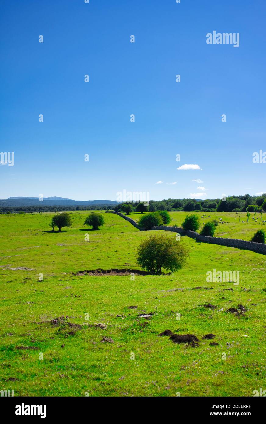 Der Naturpark Urbasa und Andia in Navarra, Spanien Stockfoto