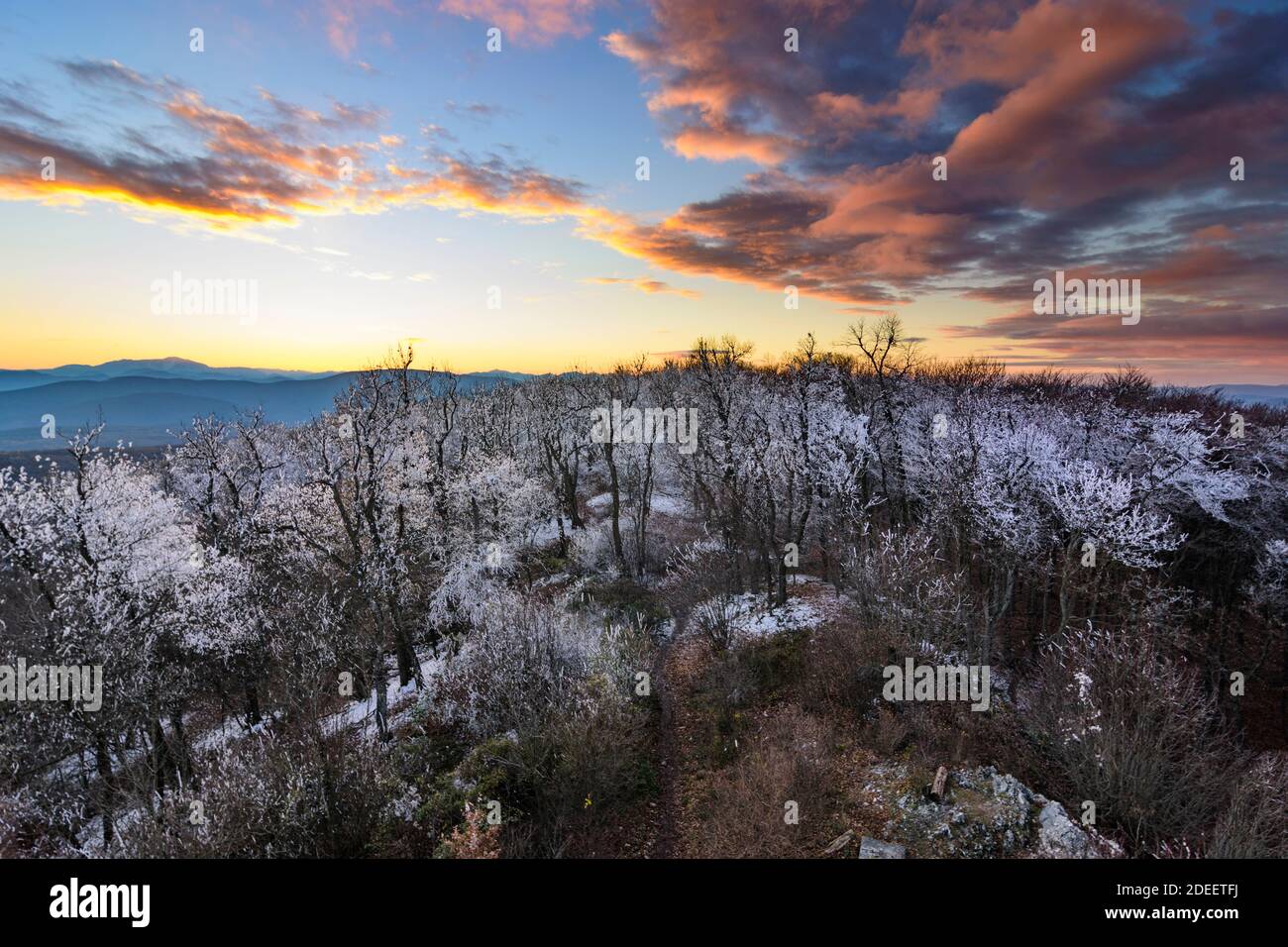 Gaaden: Blick vom Aussichtsturm Wilhelmswarte am Anninger nach Süden mit Wienerwald und Alpen, Reibeis auf Baumkronen, Sonnenuntergang im Wienerwald, Stockfoto