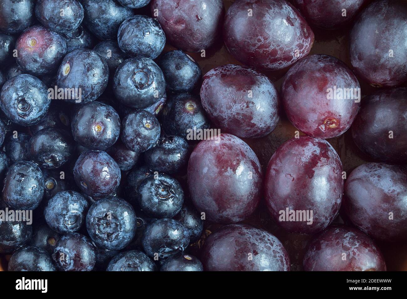 Nahaufnahme einer Gruppe von Blaubeeren in der Mitte des Bildes und einer weiteren Gruppe von schwarzen Trauben. Geteilter Bildschirm. Obst und Gesundheit. Stockfoto
