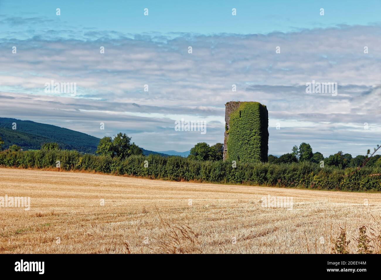 Dieses Turmhaus befindet sich wenige km von Carrick-on-Suir, Co.Tipperary, Irland entfernt Stockfoto