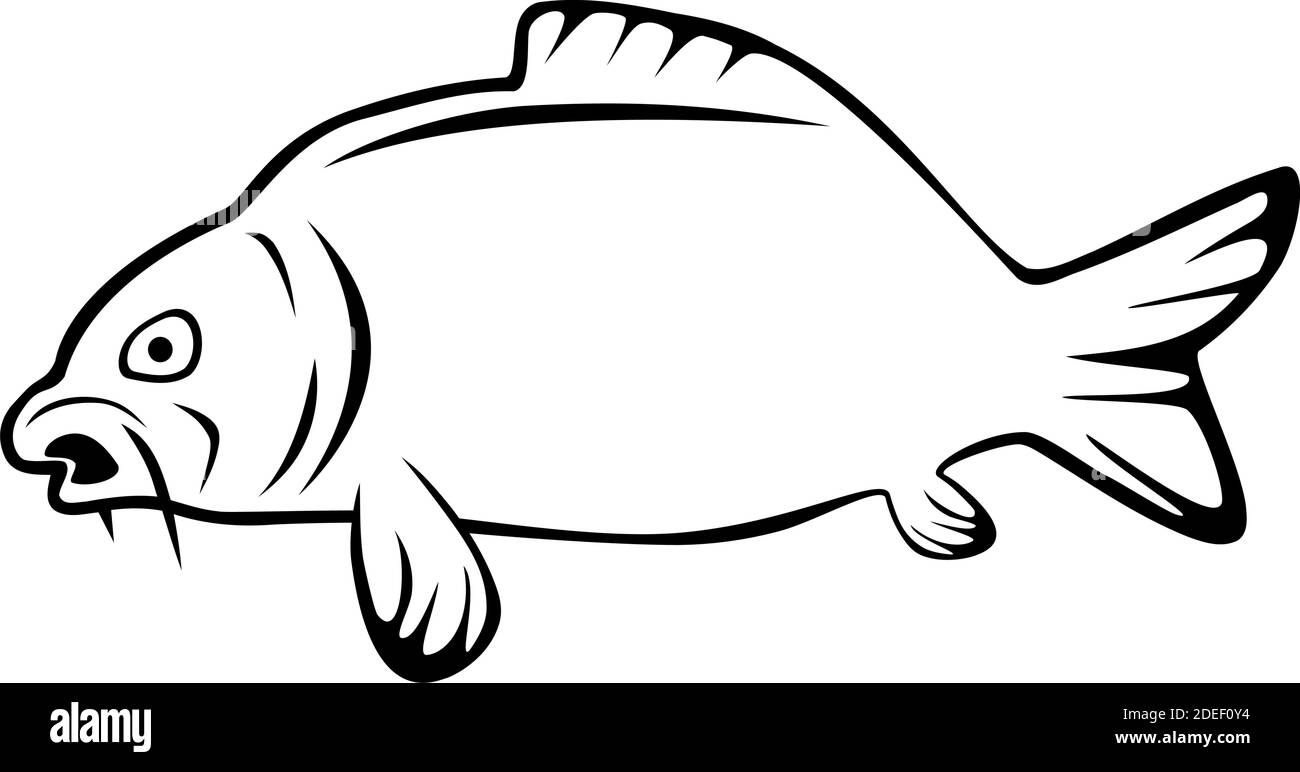 Karpfen, Fisch, Angeln, Sport, Logo Stock Vektor