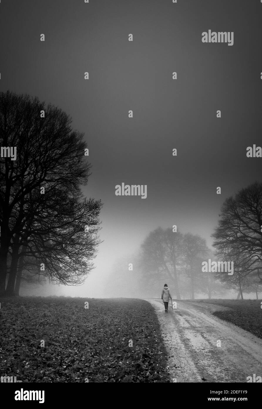 Person, die an einem späten nebligen Abend entlang einer von Bäumen gesäumten kleinen Landstraße geht. Stockfoto