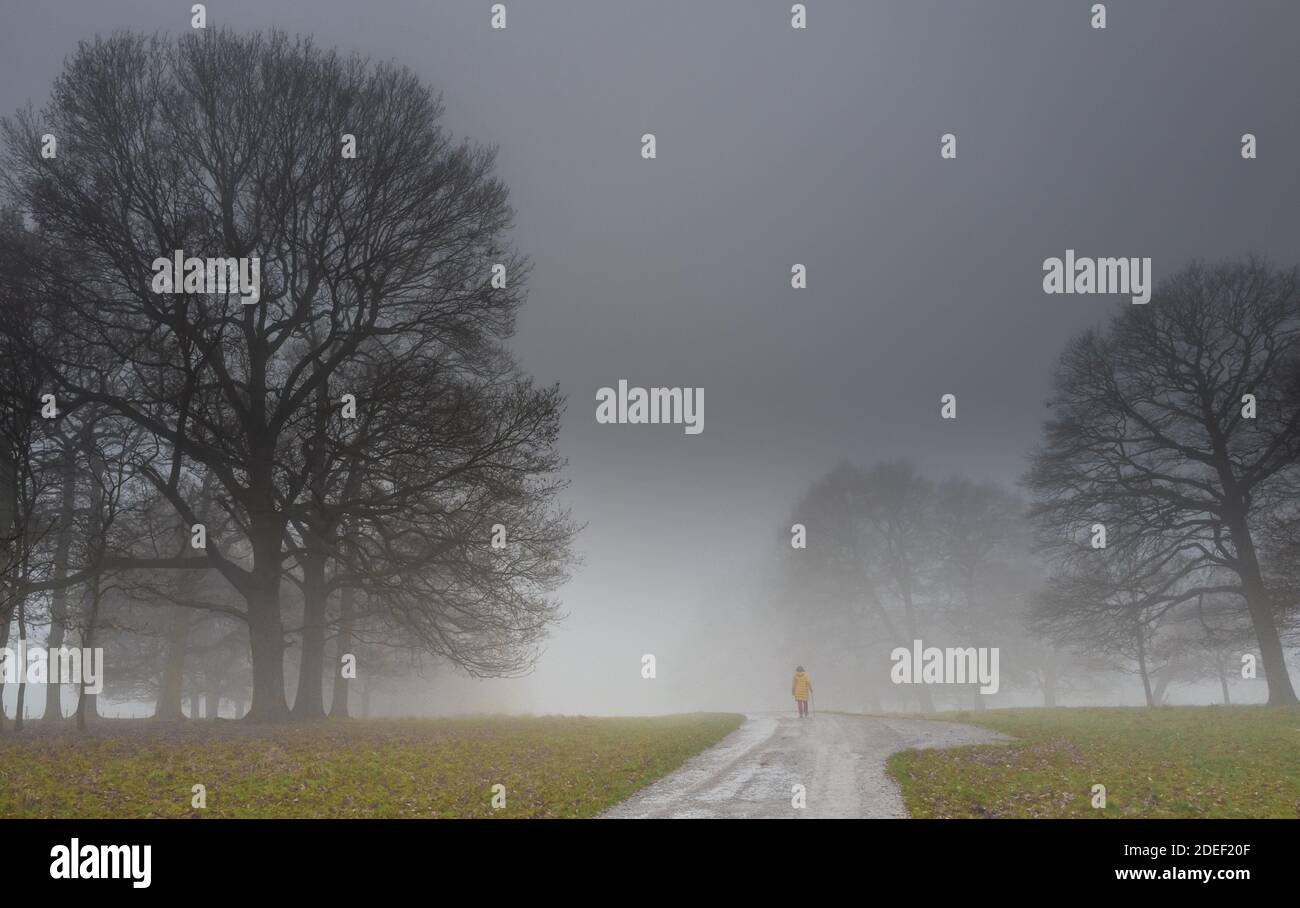 Person, die an einem späten nebligen Abend entlang einer von Bäumen gesäumten kleinen Landstraße geht. Stockfoto