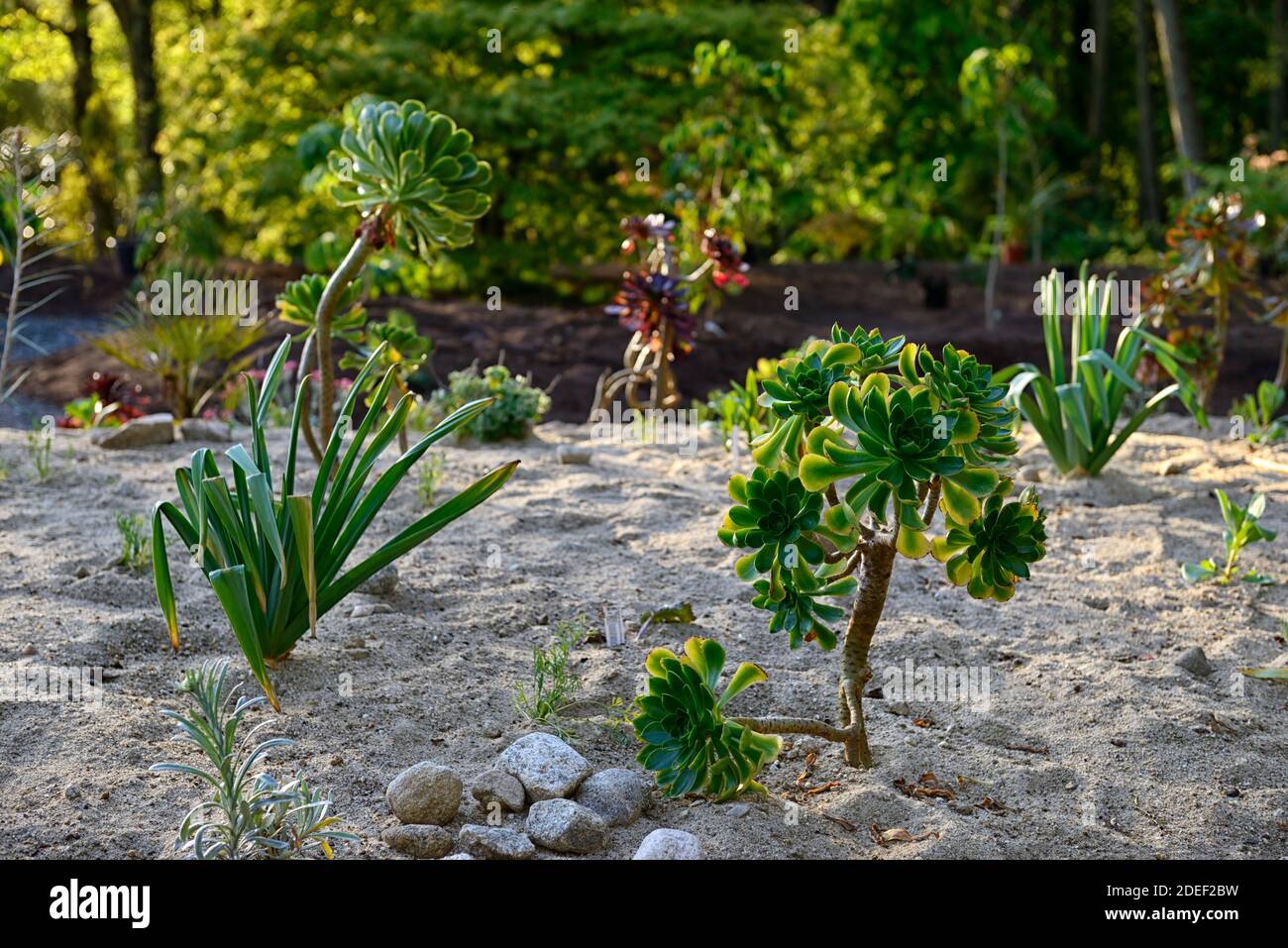 Trockene Grenze Stockfotos und bilder Kaufen Alamy