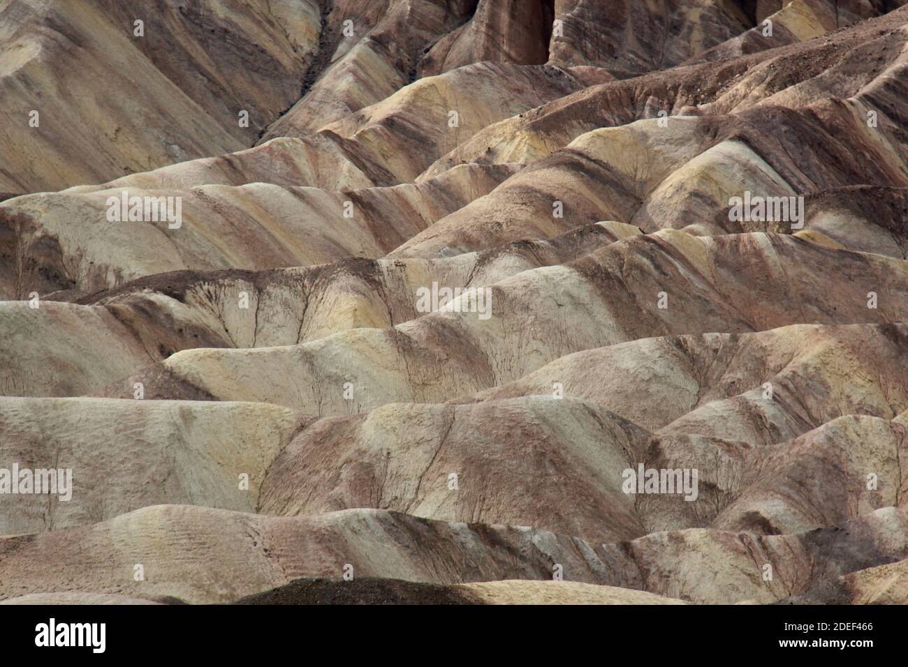 Sandy Yellow Pastel Dunes am Zabriskie Point im Death Valley, Kalifornien Stockfoto