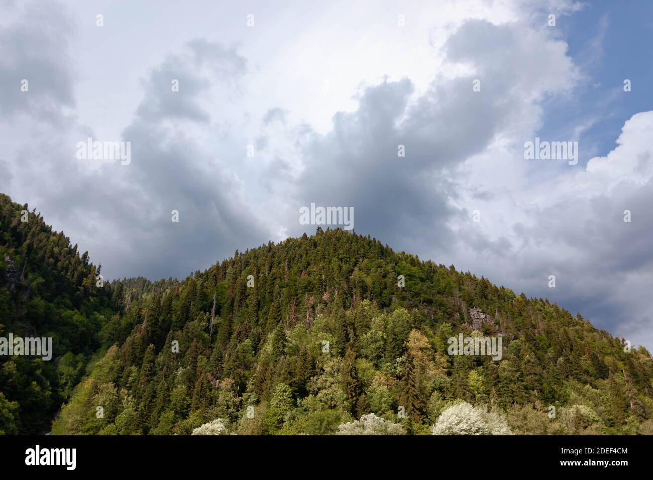 Grüner Berg gegen bewölkten Himmel Stockfoto