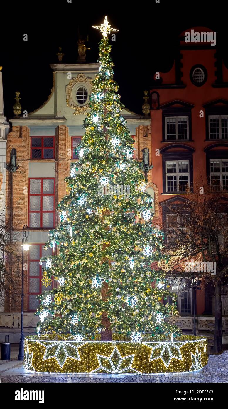 Weihnachtsbaum auf dem Hauptplatz der europäischen Stadt. Großer eleganter traditioneller Weihnachtsbaum in der Nacht auf dem Weihnachtsmarkt im Hintergrund der europäischen Häuser. Stockfoto