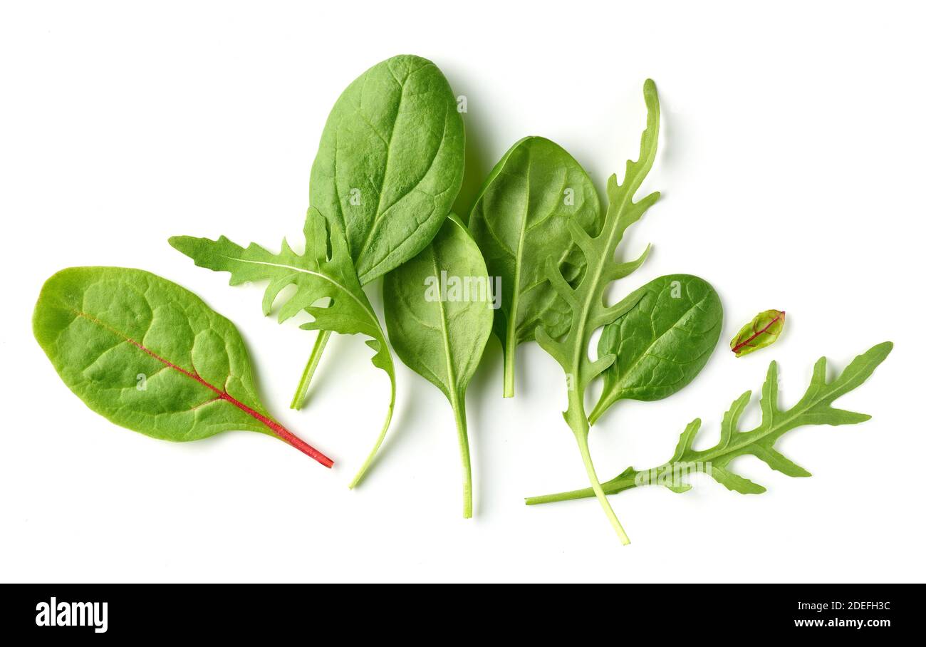 Zusammensetzung von verschiedenen Salatblättern isoliert auf weißem Hintergrund, Draufsicht Stockfoto