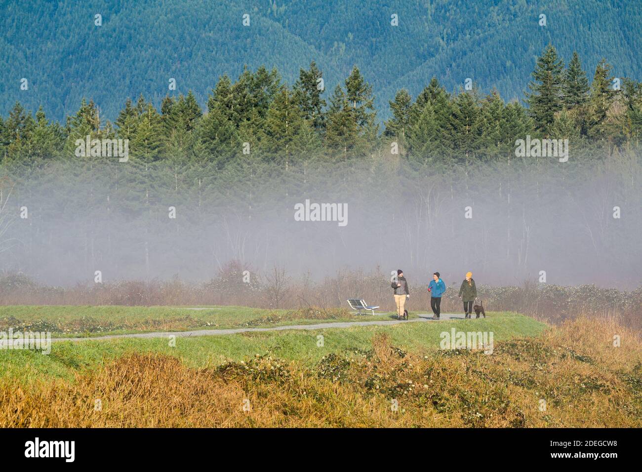 Menschen gehen Hunde auf dem Trail, Pitt Meadows, British Columbia, Kanada Stockfoto