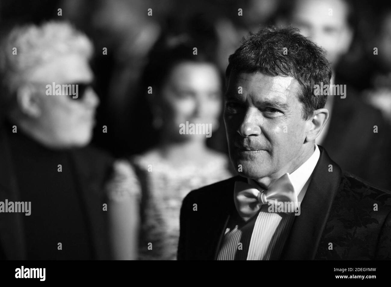 Pedro Almodovar, Penelope Cruz und Antonio Banderas verlassen die Dolor Y Gloria Premiere im Rahmen der 72. Internationalen Filmfestspiele Cannes in Cannes, Frankreich am 17. Mai 2019. Foto von Aurore Marechal/ABACAPRESS.COM Stockfoto