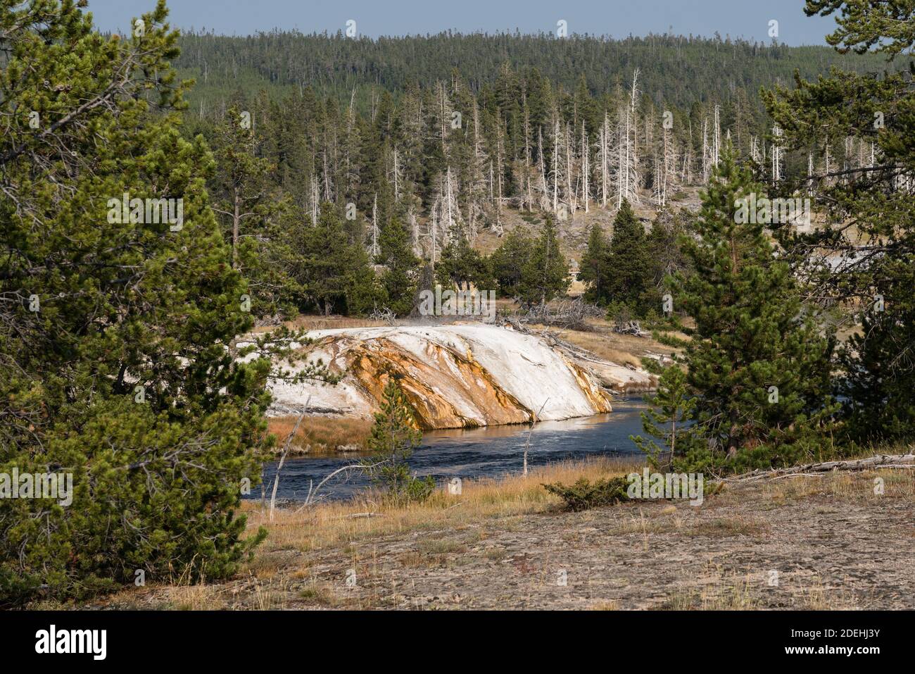 Der Firehole River fließt durch das Upper Geyser Basin des Yellowstone National Park in Wyoming, USA. Thermophile Mikroben machen bunte Matten Stockfoto