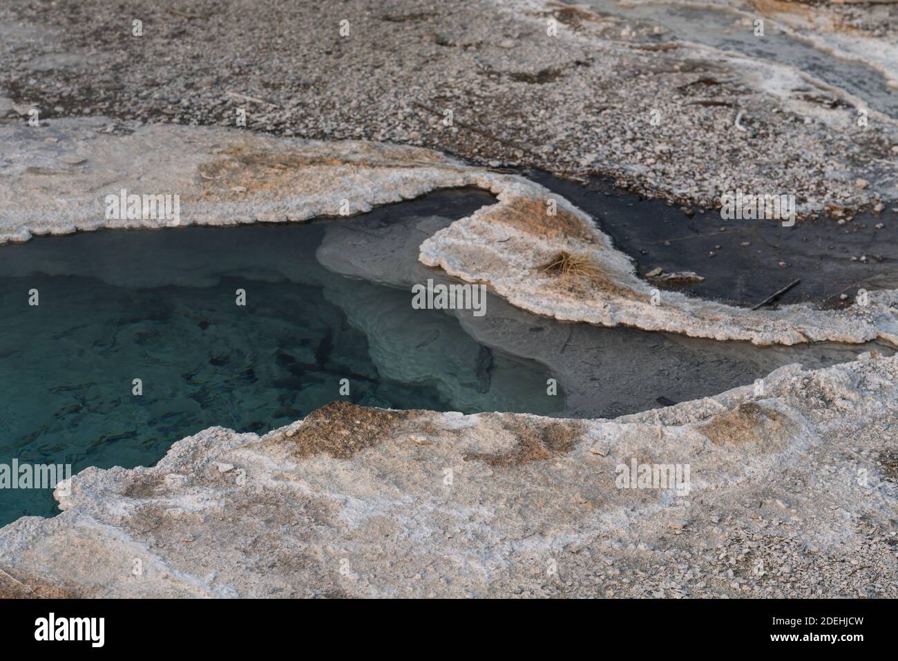 Die Blue Star Spring ist eine ruhige clearwater heiße Quelle im Upper Geyser Basin des Yellowstone National Park in Wyoming, USA. Stockfoto