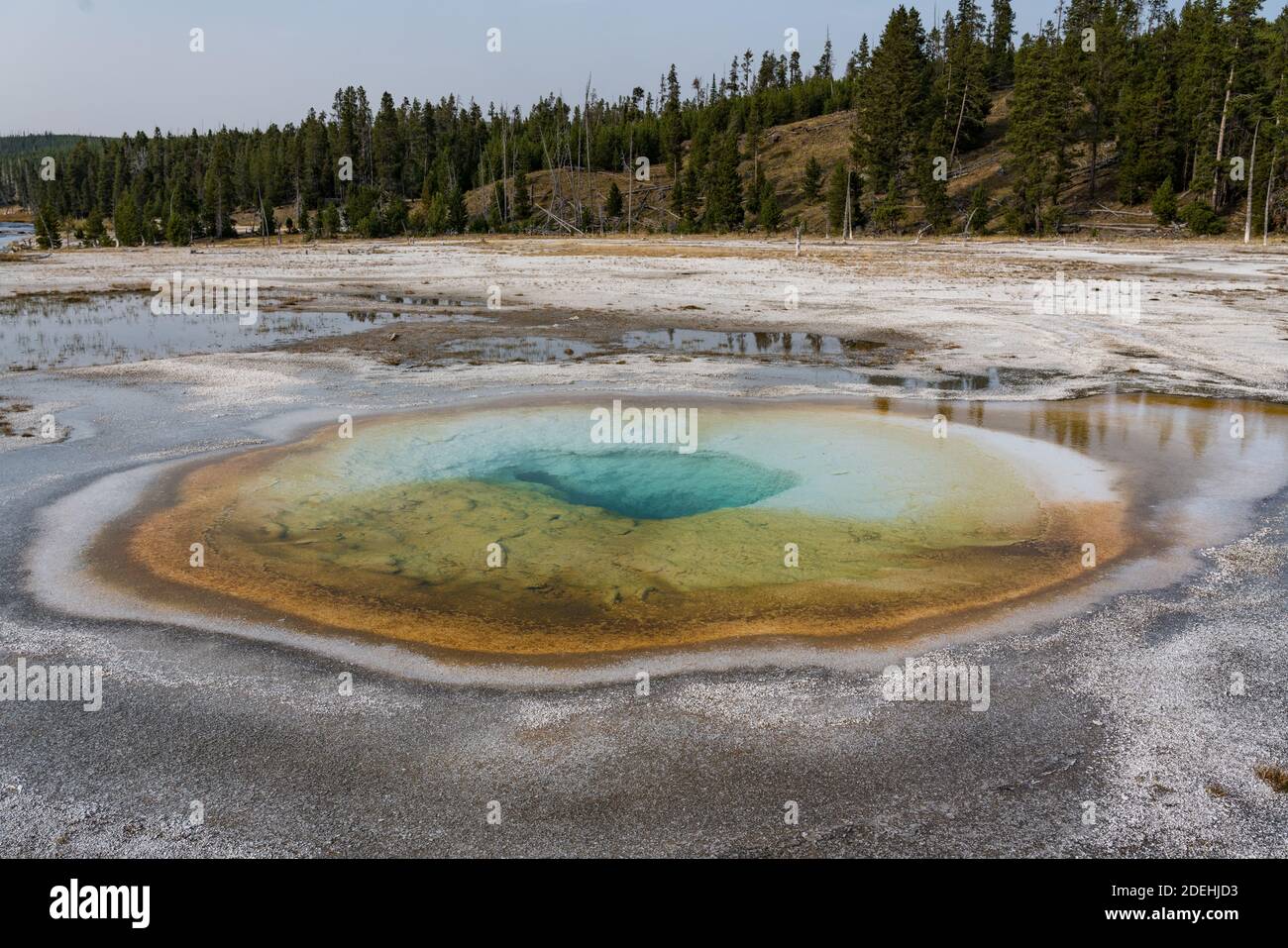 Der Chromatic Pool ist eine zeitweilige clearwater-Thermalquelle im Upper Geyser Basin des Yellowstone National Park, Wyoming, USA. Stockfoto