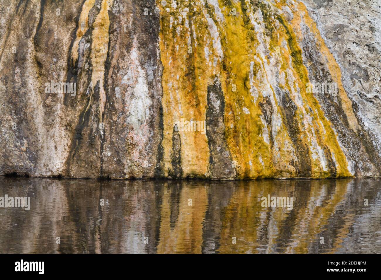 Heißes Wasser aus der heißen Quelle des Schornsteinkegel fließt über Bunte thermophile Mikrobenmatten auf dem Weg ins Feuerloch Fluss im Yellowstone National Stockfoto