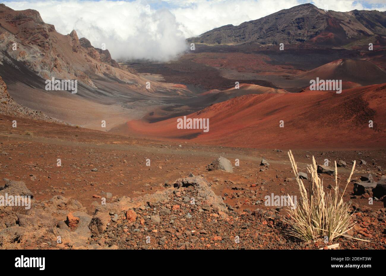 Hawaiianische Aussichten Stockfoto