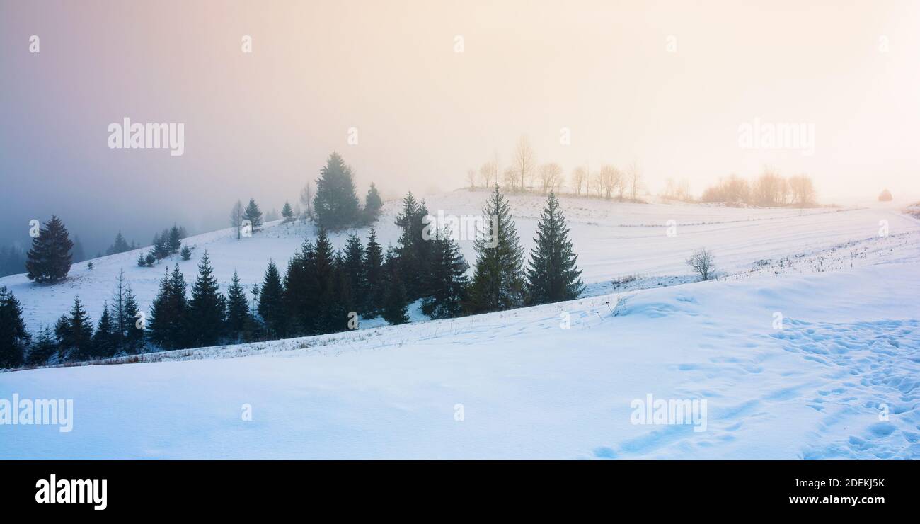 Neblige Landschaft bei Sonnenaufgang. Schöne ländliche Landschaft im Winter. Bäume auf schneebedeckten Hügeln unter einem glühenden Himmel Stockfoto