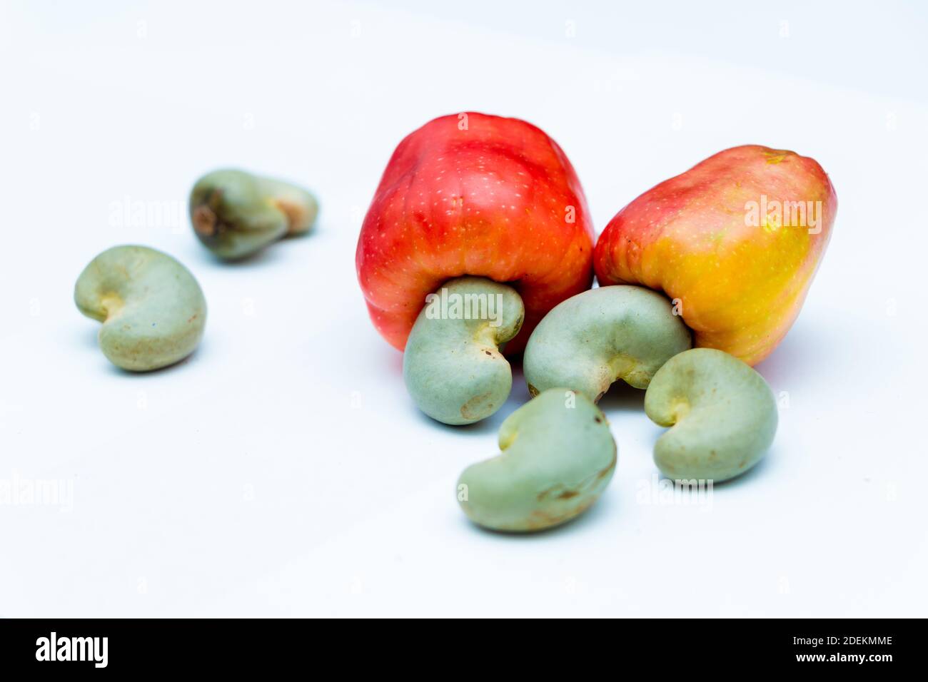 Cashew Frucht Nahaufnahme sieht in weißem Hintergrund Stockfoto