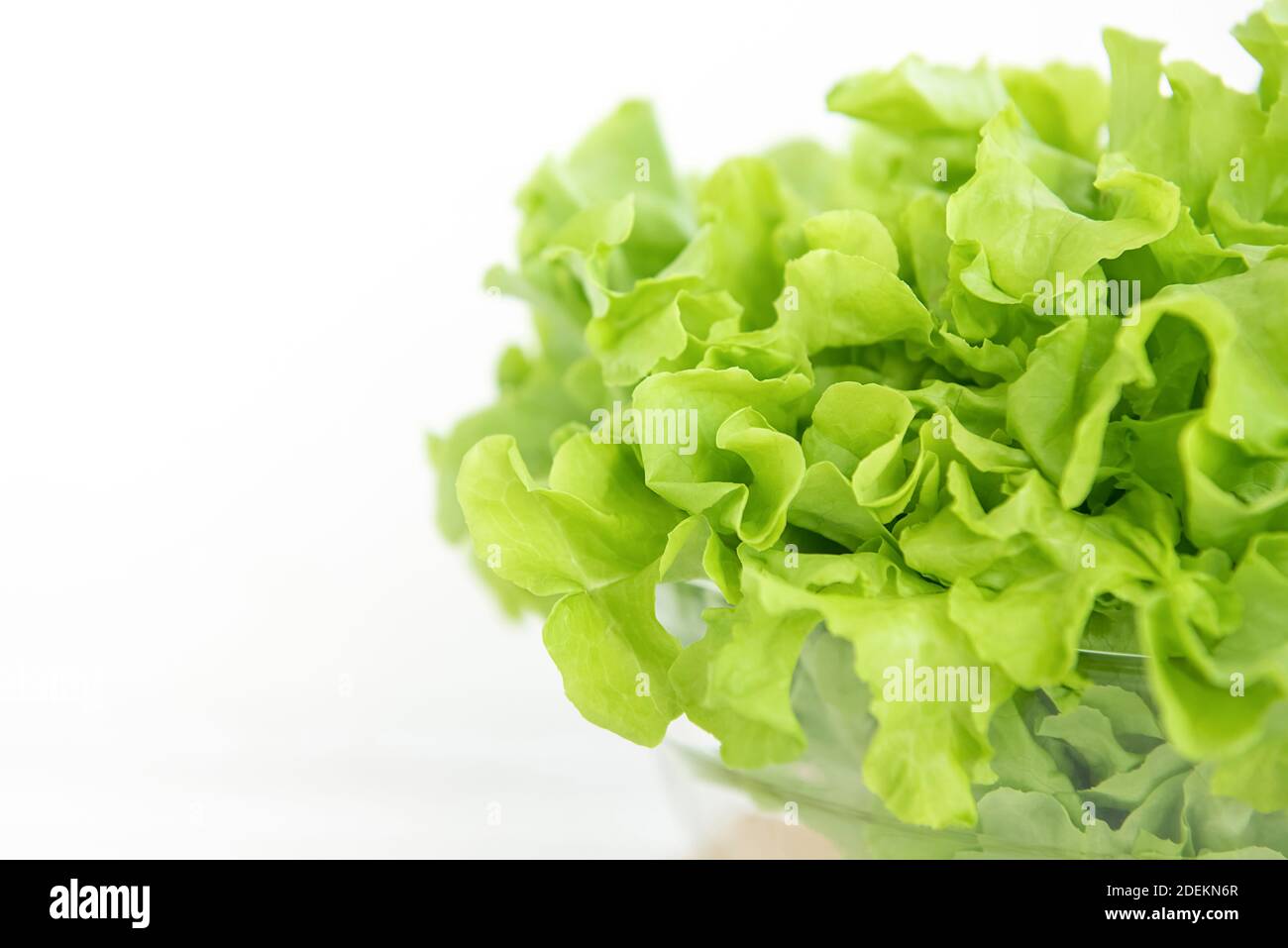 Nahaufnahme von frischen Bio gesunde grüne Eiche Salat Gemüse in einer Glasschüssel auf weißem Tisch, bereit, als Salat oder kochen zu essen Stockfoto