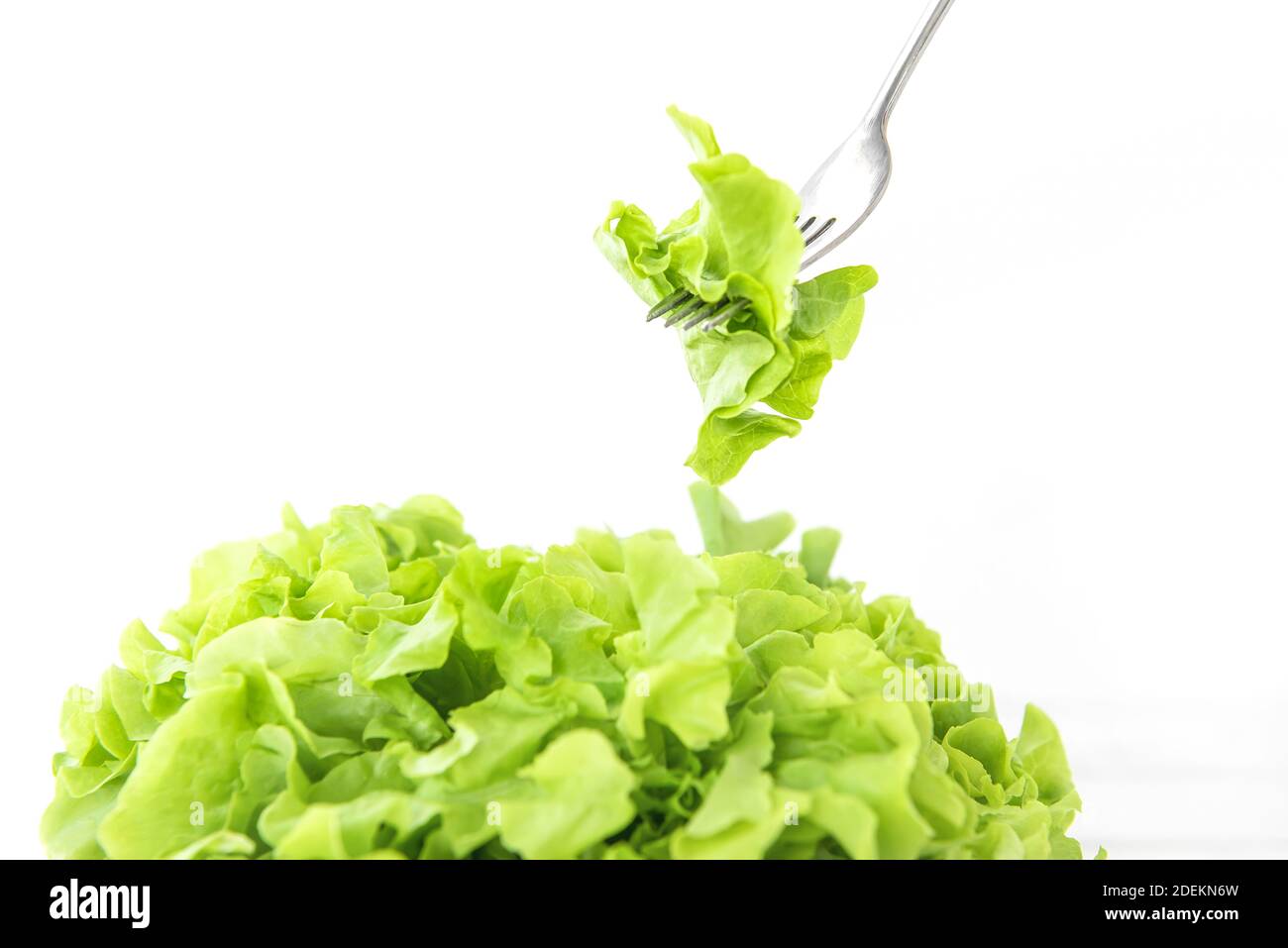 Frische Bio gesunde grüne Eiche Salat Gemüse für Salat, isoliert auf weißem Hintergrund Stockfoto