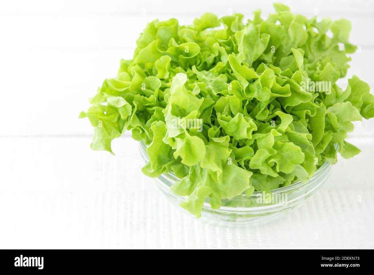 Frisches Bio gesundes grünes Eichensalat Gemüse in einer Glasschüssel auf weißem Holztisch in der Küche, bereit, als Salat oder Koch zu essen Stockfoto