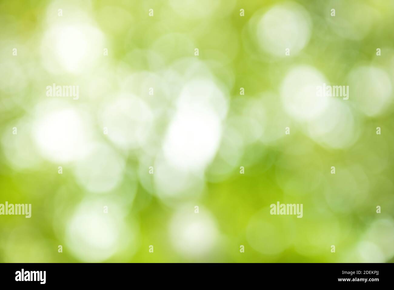 Schöne abstrakte natürliche hellgrüne Weichzeichnung Hintergrund mit weißem Bokeh Stockfoto