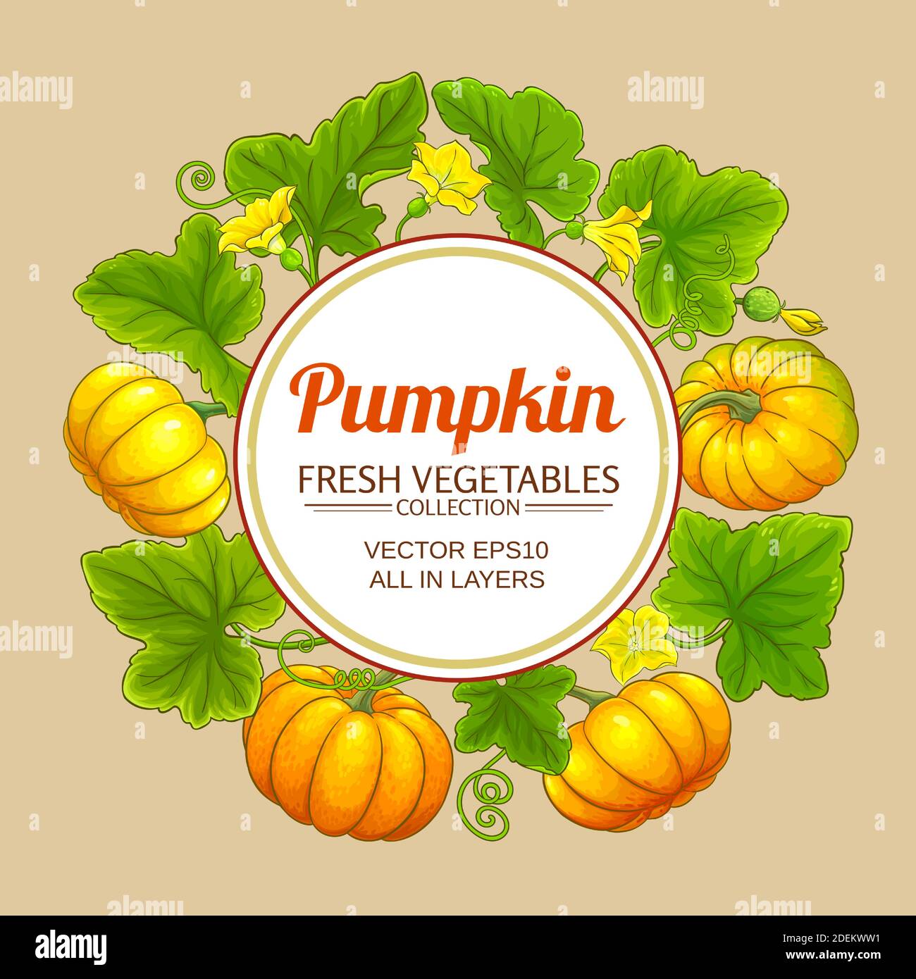 Kürbis-Vektorrahmen Stock Vektor