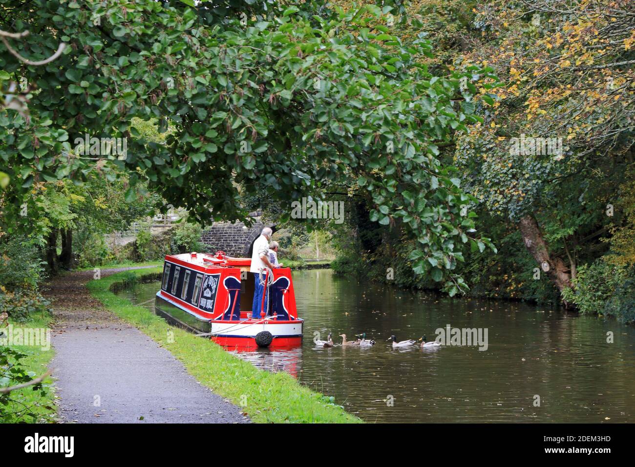 Fütterung der Enten auf dem Rochdale Kanal, Mytholmroyd Stockfoto