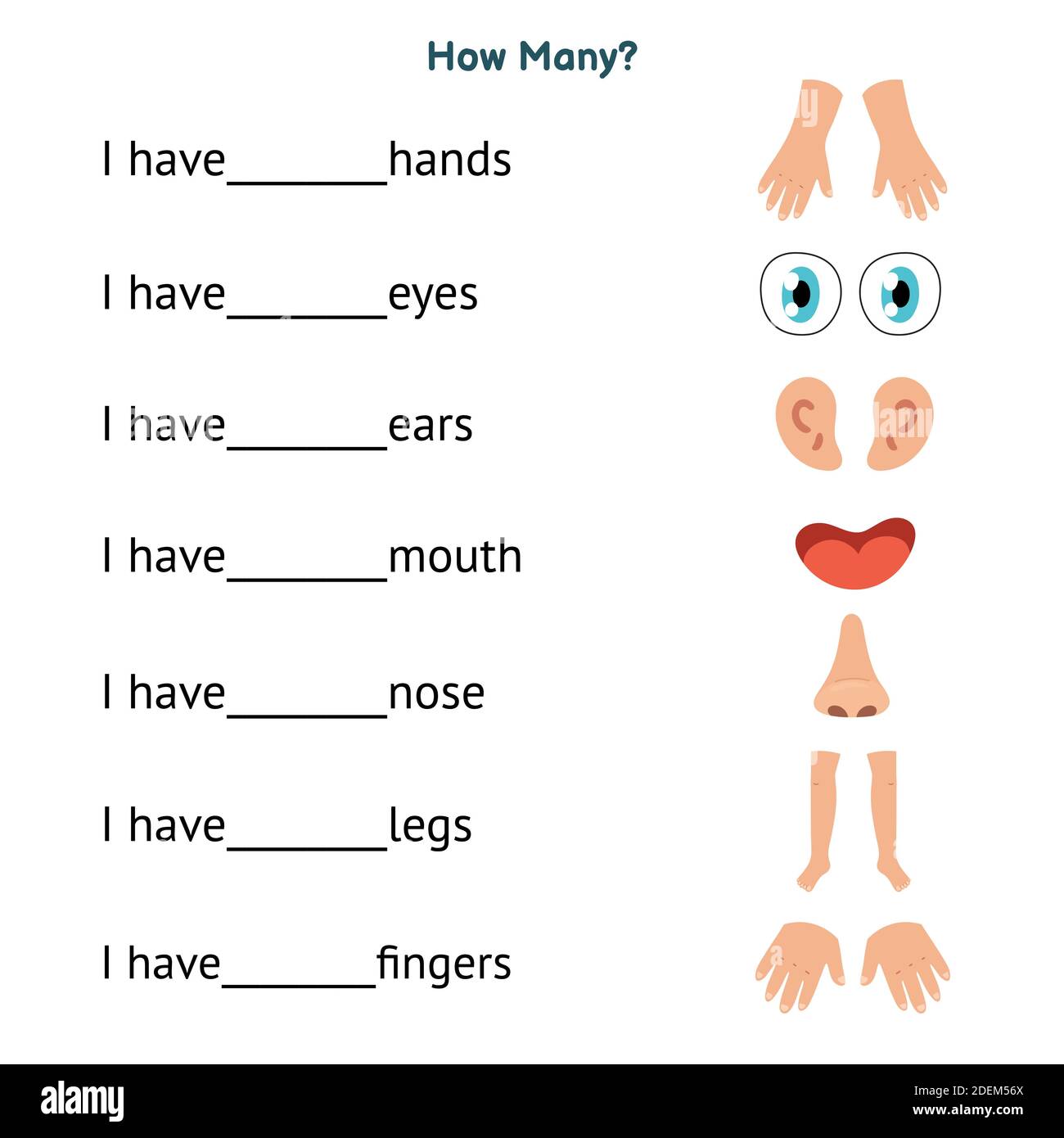 Face body worksheets. Phonetic drills на уроке английского. Описать игрушку на английском 2 класс. Two hands two ears. Опиши игрушку на английском.