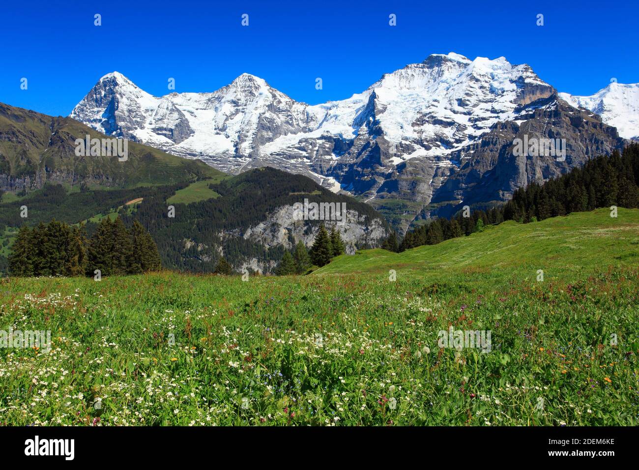 Eiger moench jungfrau -Fotos und -Bildmaterial in hoher Auflösung – Alamy