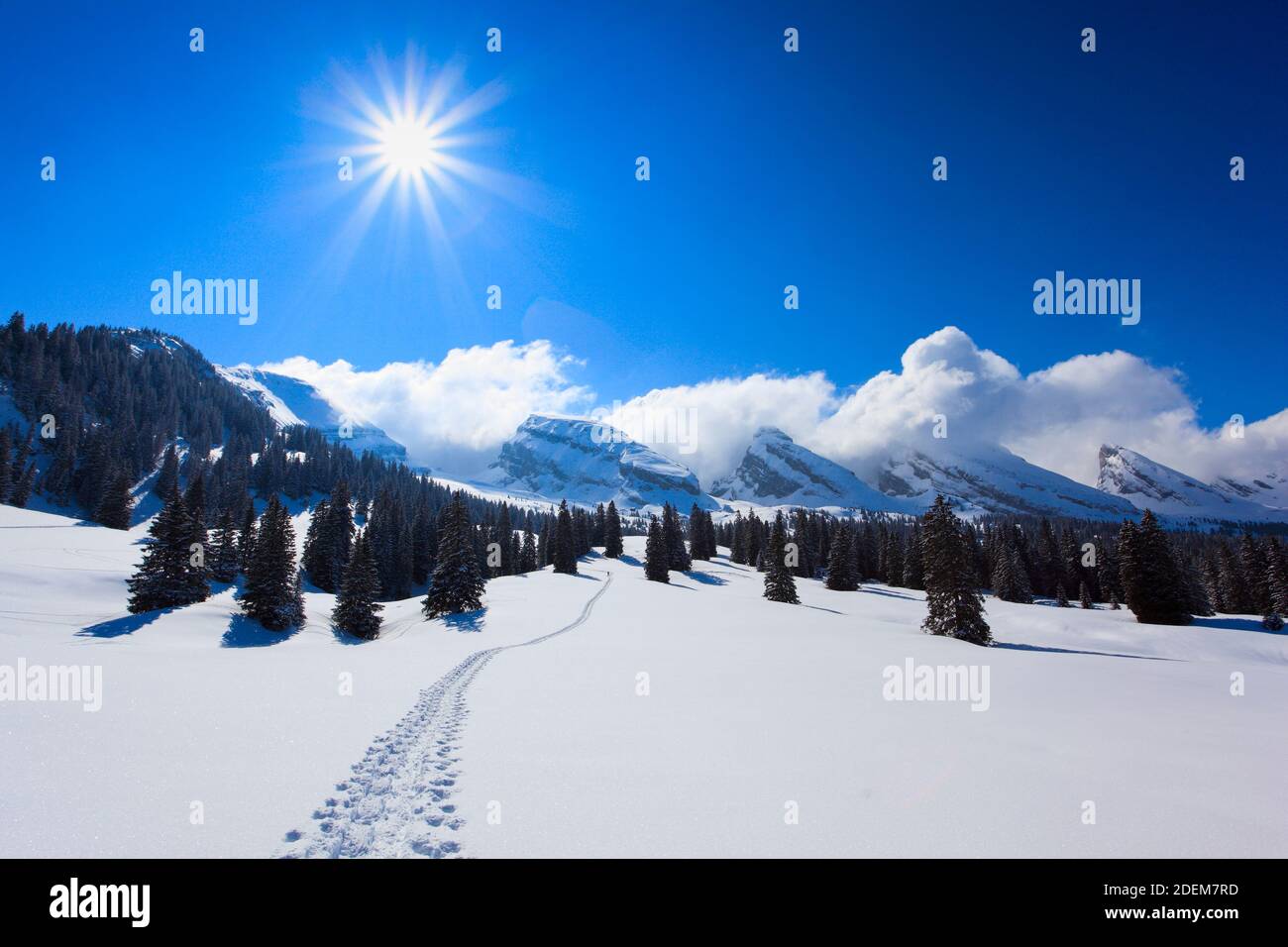 Geographie / Reisen, Schweiz, Churfirsten, Toggenburg, Additional-Rights-Clearance-Info-not-available Stockfoto