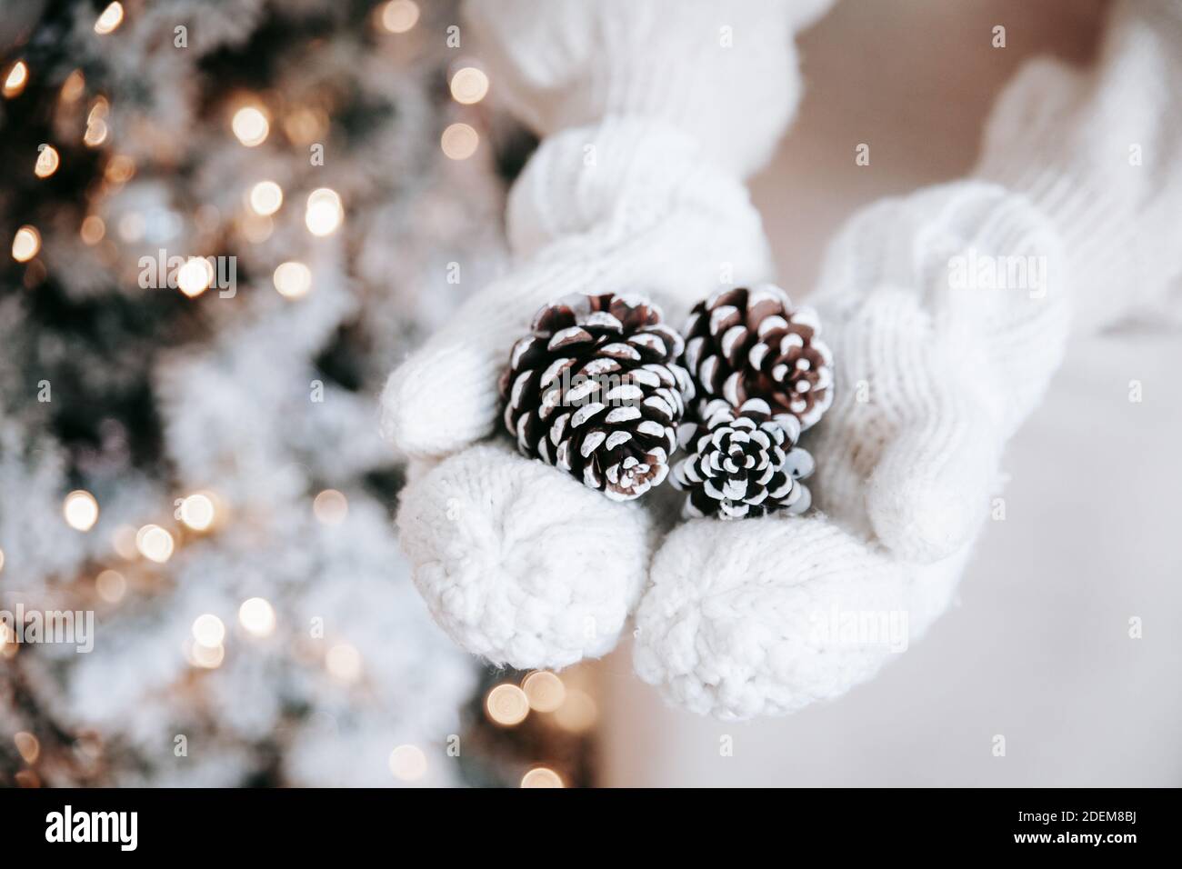Nahaufnahme einer Frau in weißen gestrickten Fäustlingen, die Kiefernzapfen halten. Weihnachtsbaum, Bokeh Lichter im Hintergrund. Gemütliche weihnachtliche Stimmung. Stockfoto