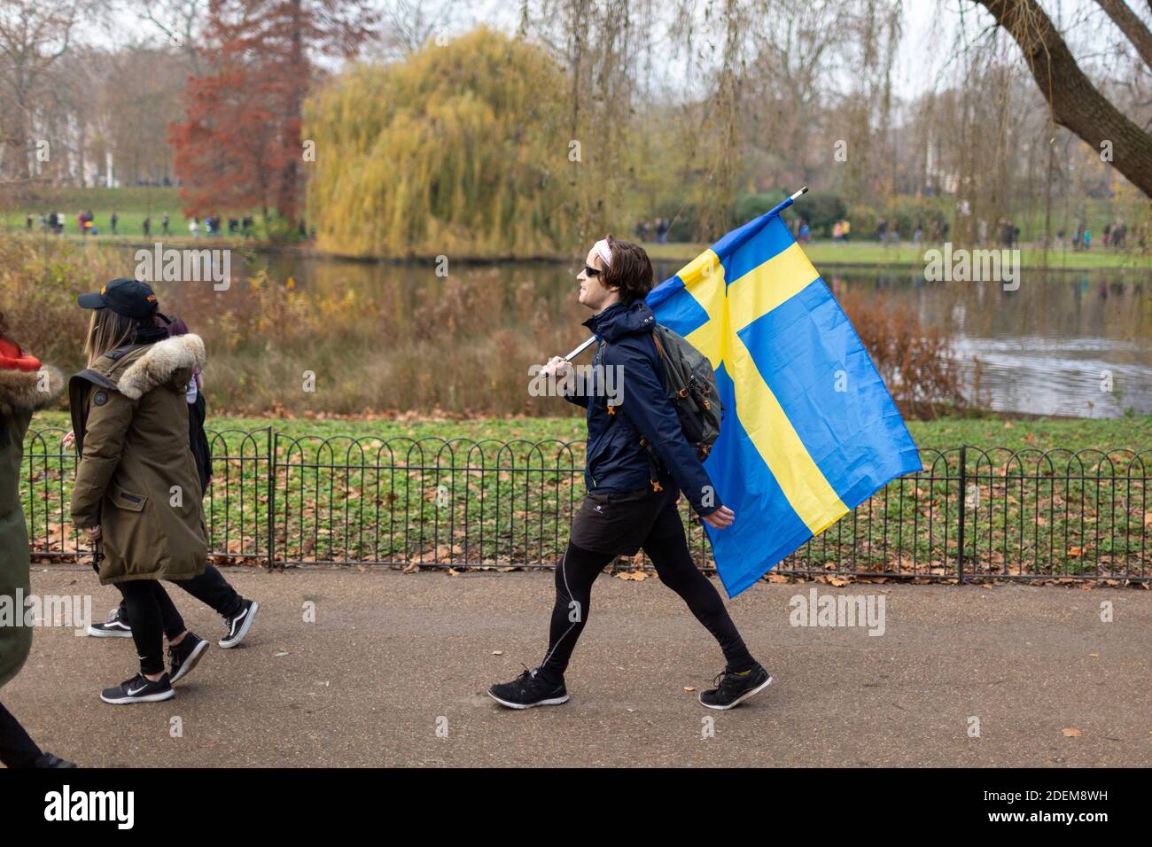 Anti-Lockdown Protest, Saint James's Park, London, 28. November 2020. Ein Protestler, der mit einer schwedischen Flagge geht. Stockfoto