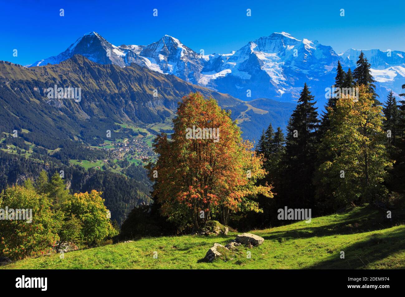 Eiger moench jungfrau -Fotos und -Bildmaterial in hoher Auflösung – Alamy