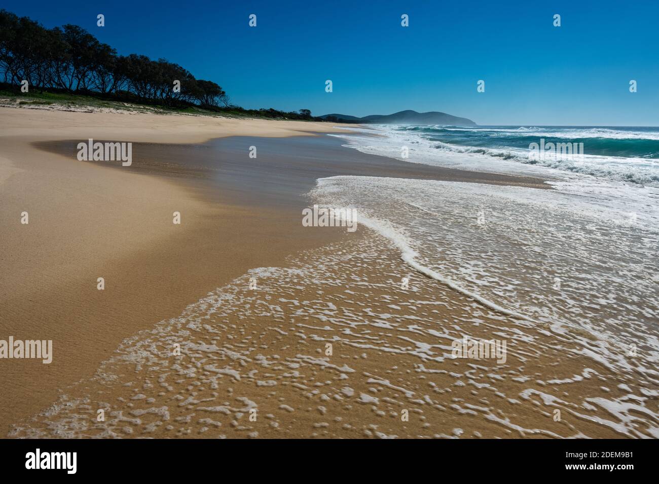 Wunderschöner Seven Mile Beach im Booti Booti Nationalpark. Stockfoto
