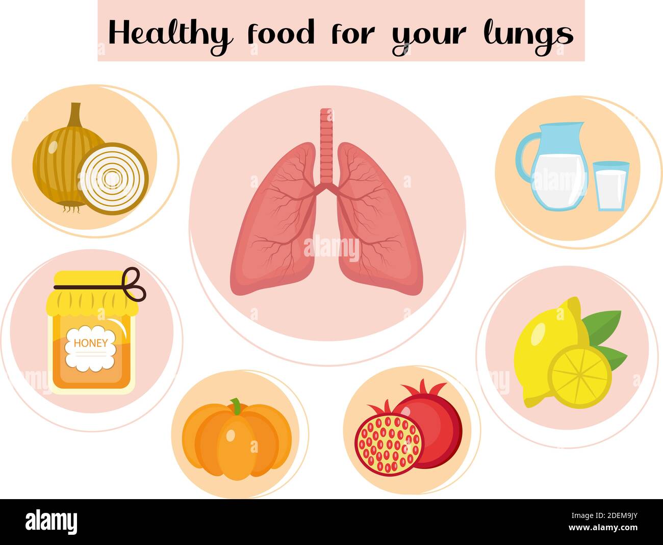 Gesunde Ernährung für die Lunge. Konzept von Lebensmitteln und Vitaminen, Medizin, Prävention von Atemwegserkrankungen. Vektorgrafik Stock Vektor