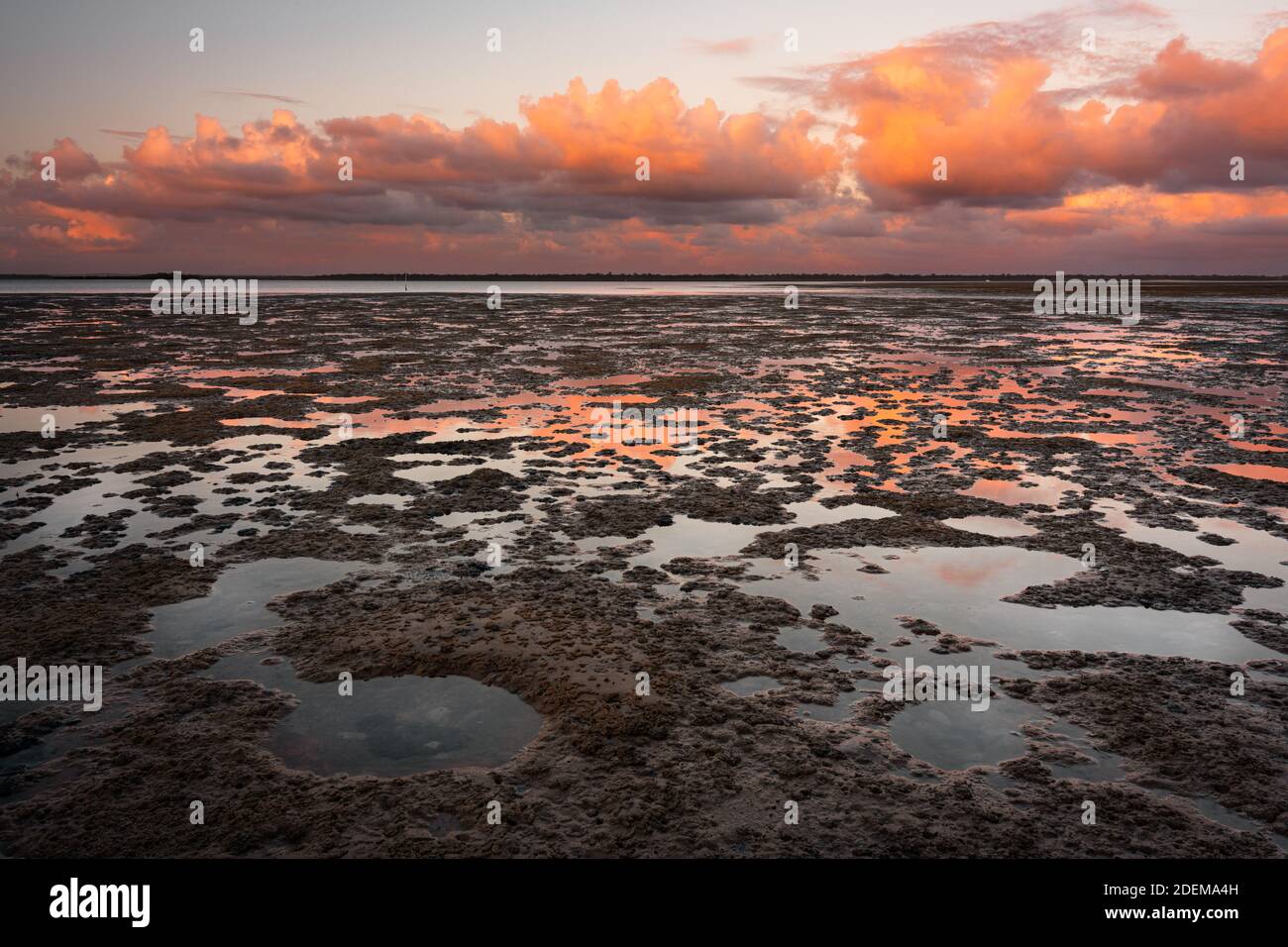 Bunte Reflexionen auf dem Watt der Tin Can Bay. Stockfoto